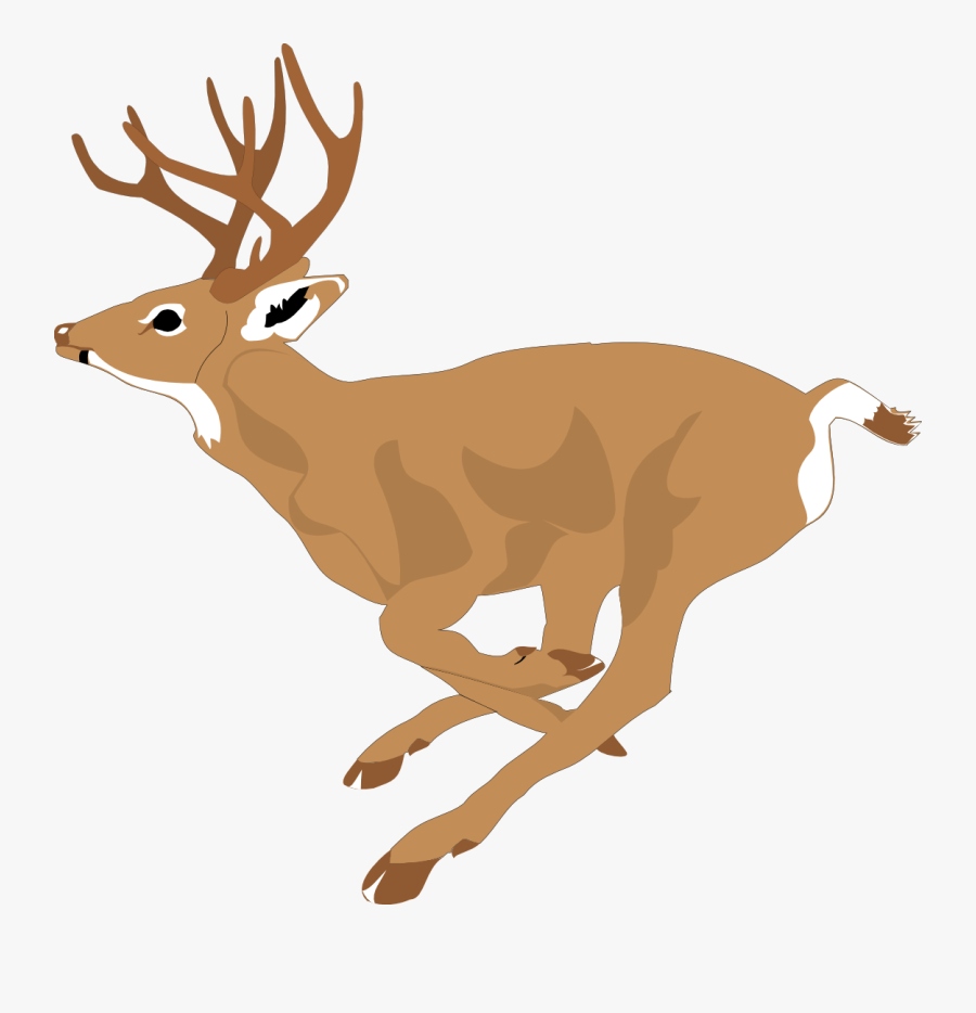 Mule Deer Clipart - Running Deer Clipart, Transparent Clipart