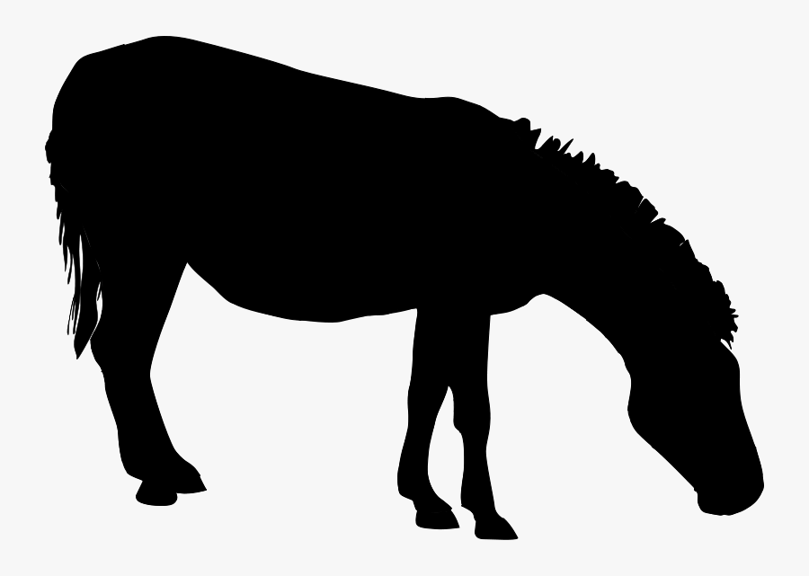 Mule Mustang Mare Stallion Halter - Mane, Transparent Clipart