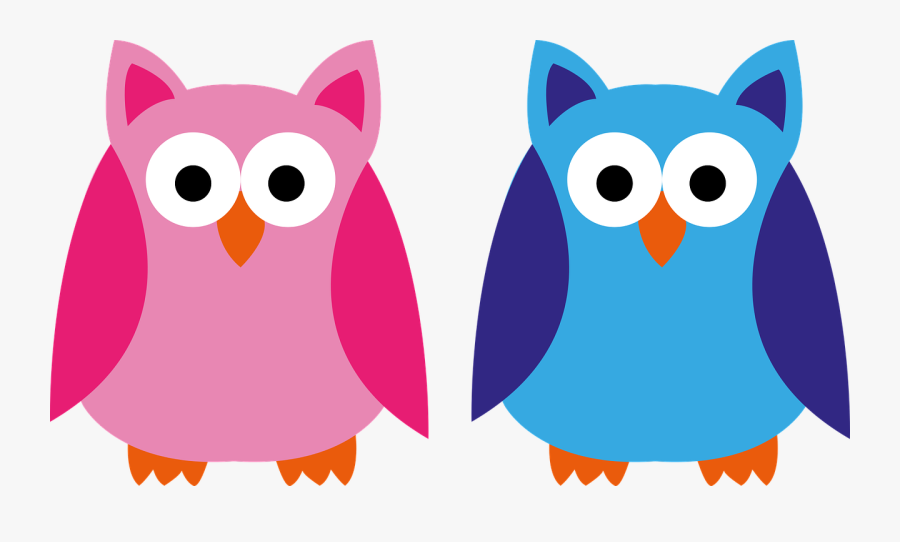 Owl Blue Pink Boy Girl Png Image Clipart , Png Download - Clipboard Owl, Transparent Clipart