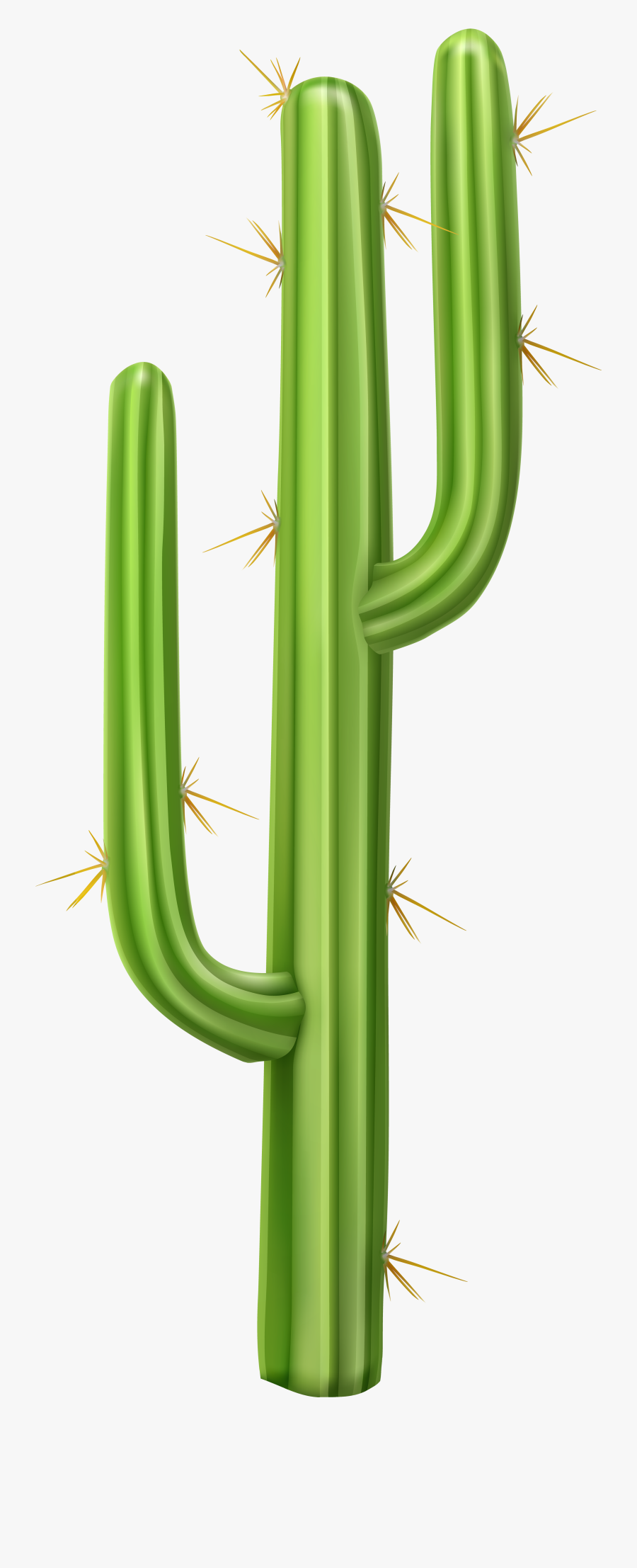 Cactus Computer File, Transparent Clipart