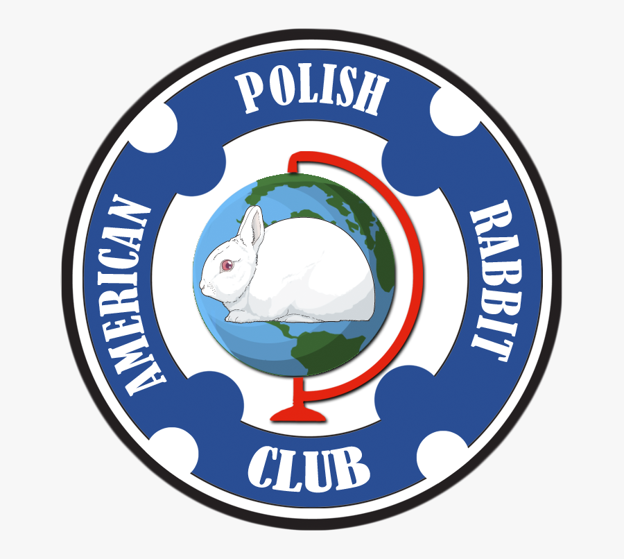 American Polish Rabbit Club, Transparent Clipart