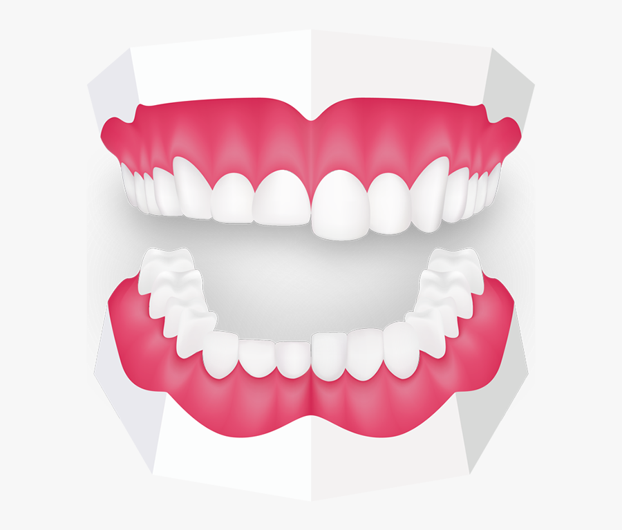 Tooth Grinding Toothbeary - Mouth Guard Clipart, Transparent Clipart