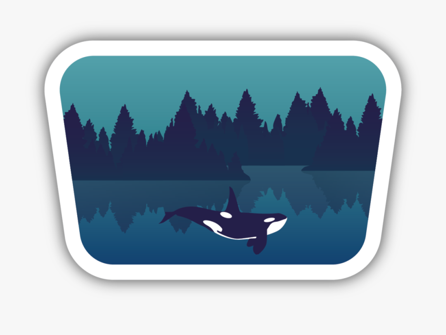 Underwater Orca Sticker - Killer Whale, Transparent Clipart