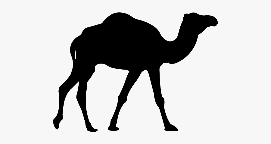 Prague Travel Guide - Camel Icon, Transparent Clipart