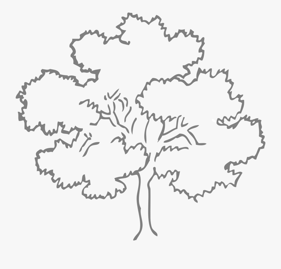 Oak Tree Outline, Transparent Clipart
