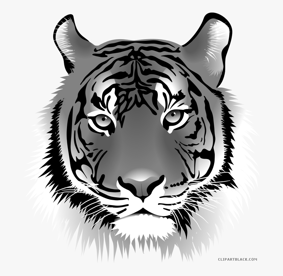 Transparent Gondola Clipart - Tiger Png Image Download, Transparent Clipart