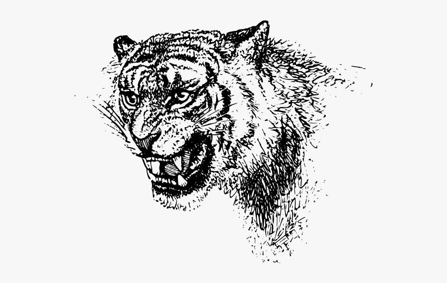 Tiger"s Head Vector Image - Black Clip Art Tiger Free, Transparent Clipart
