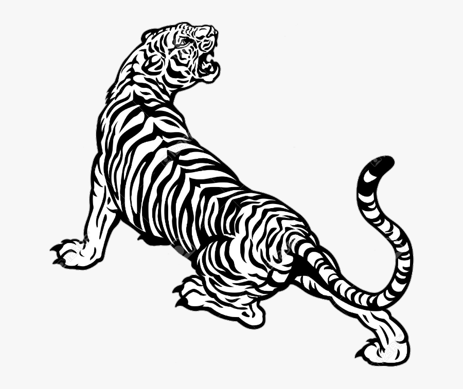 #black And White #black - Tiger Vector Black And White , Free ...