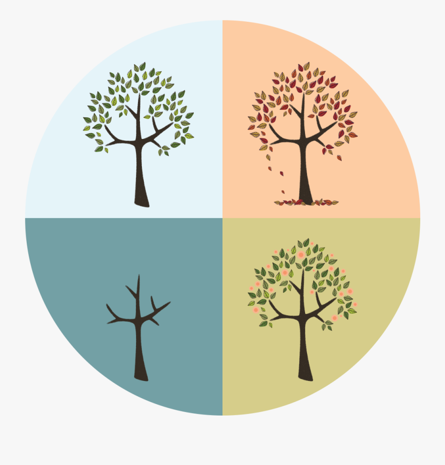 Seasons - Illustration, Transparent Clipart