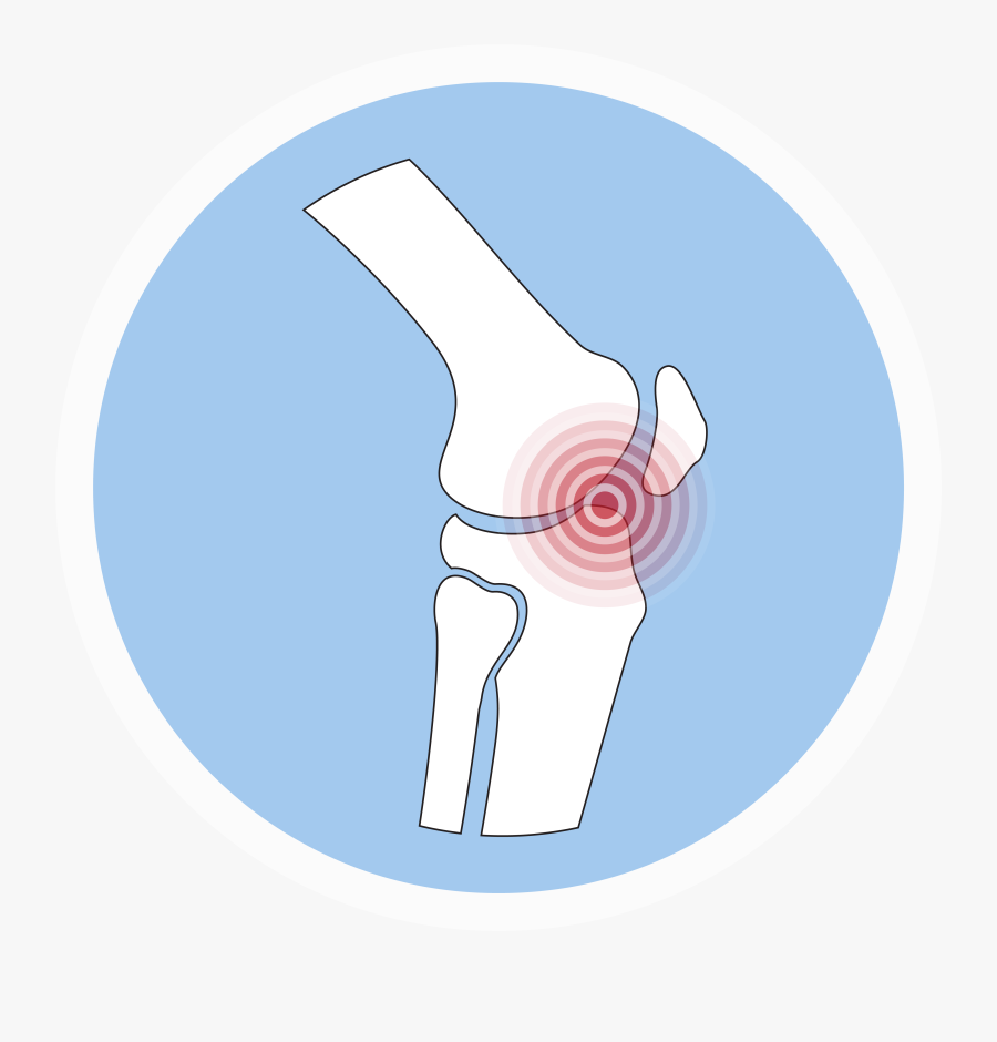 Portable Network Graphics, Transparent Clipart