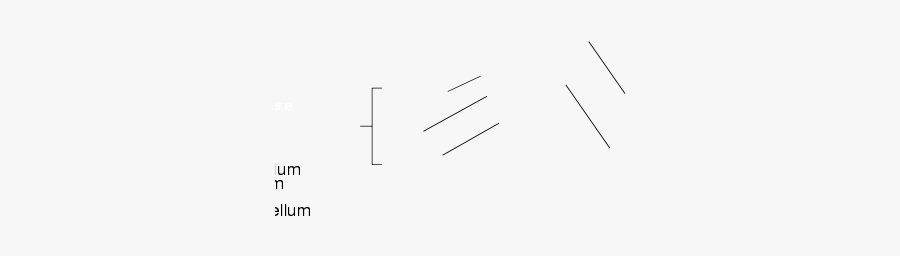 Line Art, Transparent Clipart