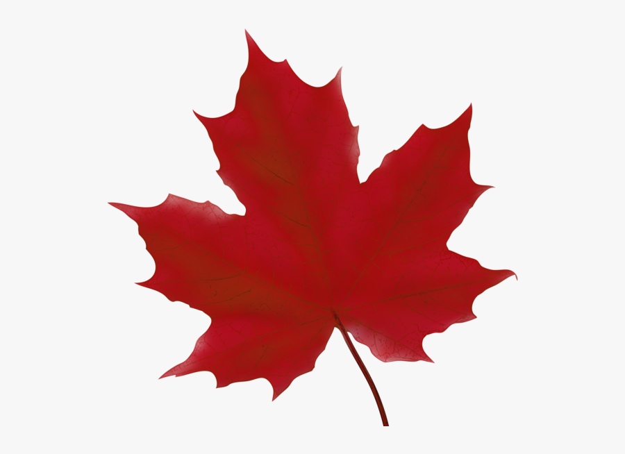 Happy Canada Day 2018, Transparent Clipart