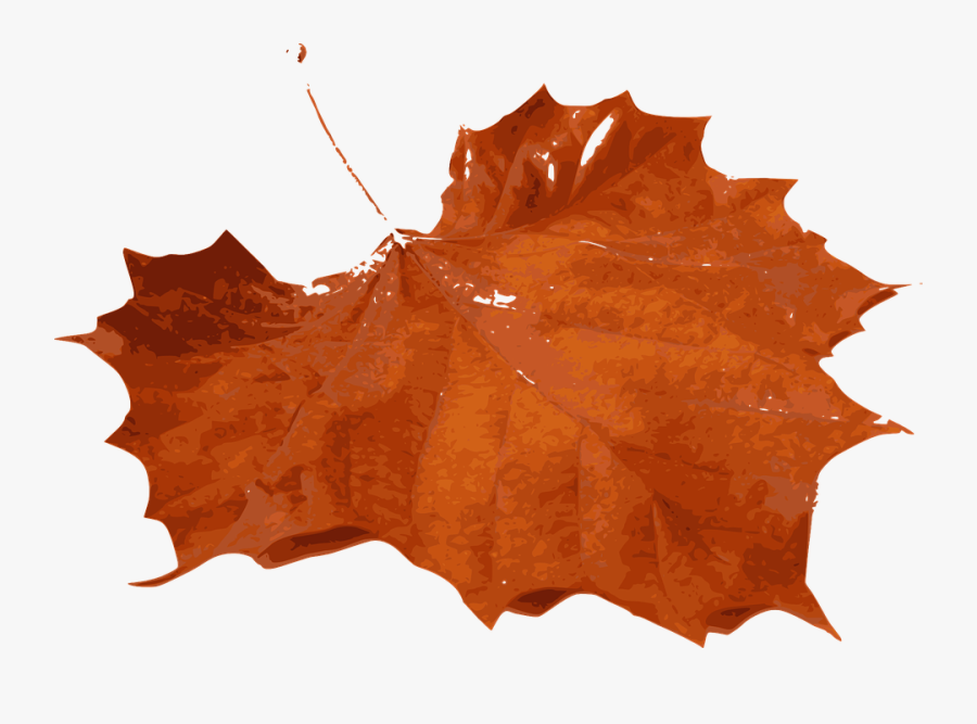 Orange Maple Leaves Png, Transparent Clipart