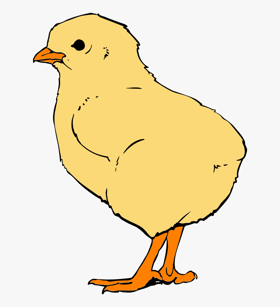 Chicks Clipart, Transparent Clipart