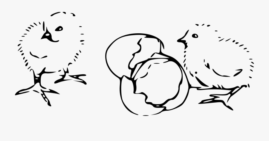 How To Set Use Chicks Hatching Svg Vector - Drawing Baby Chick Hatching, Transparent Clipart