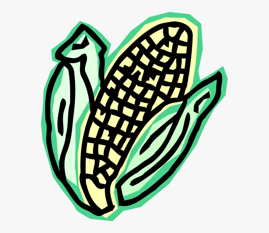 Vector Illustration Of Corn On The Cob Grain Plant, Transparent Clipart