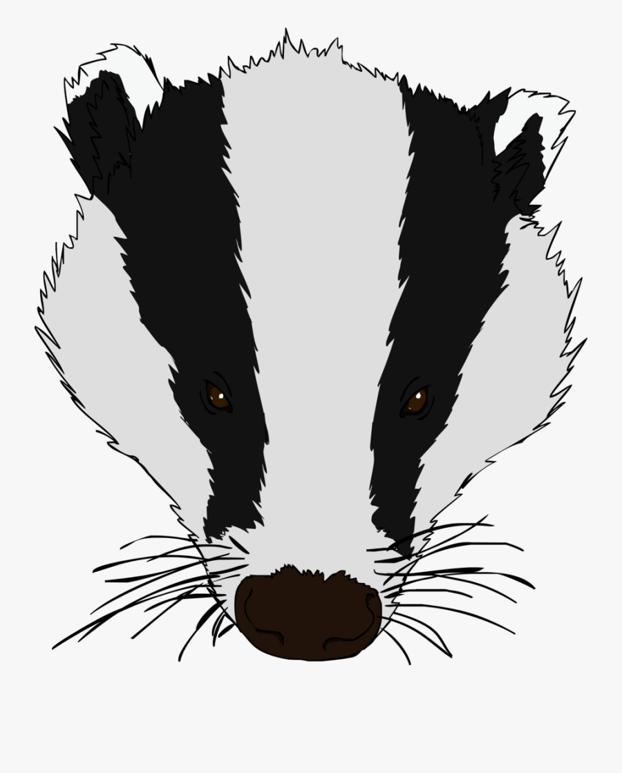 Transparent Honey Badger Clipart - Honey Badger Face Drawing, Transparent Clipart