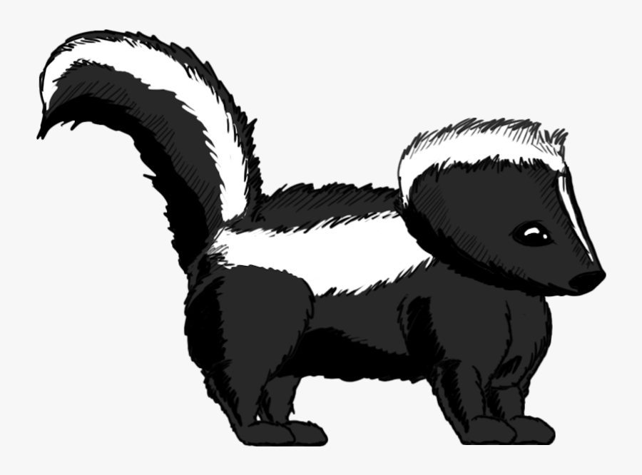 Striped Skunk Whiskers Badger - Portable Network Graphics, Transparent Clipart