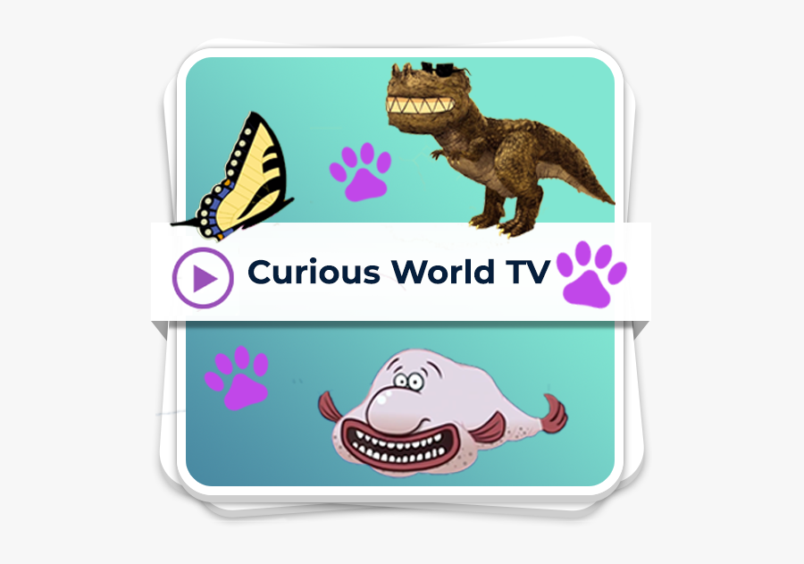 Clip Art Footprints Of Animals, Transparent Clipart