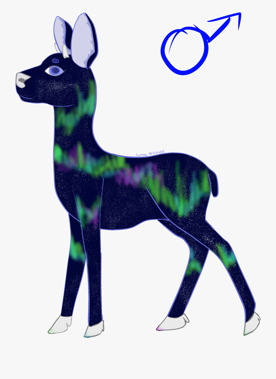 Roe Deer, Transparent Clipart