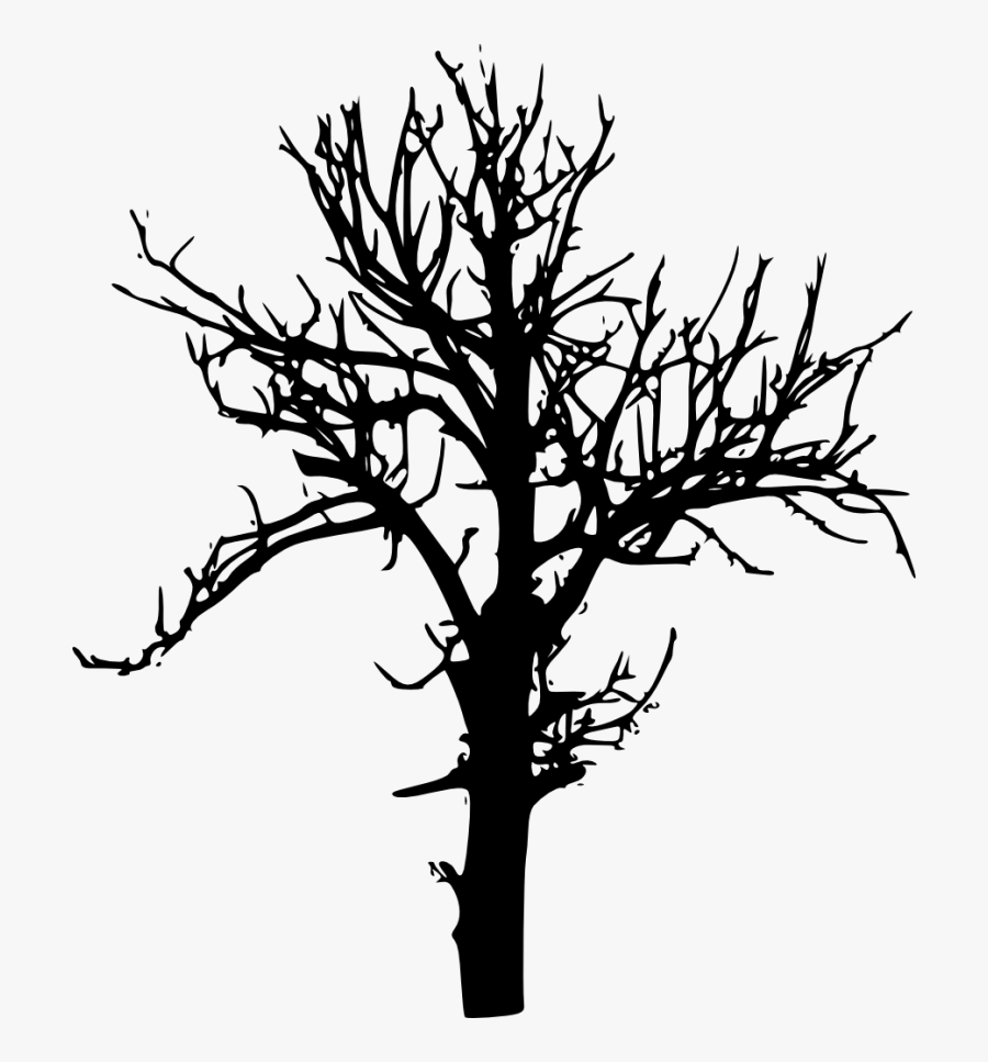 Portable Network Graphics Clip Art Transparency Silhouette - Silhouette Trees Transparent Background, Transparent Clipart