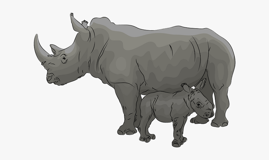 Black Rhinoceros, Transparent Clipart