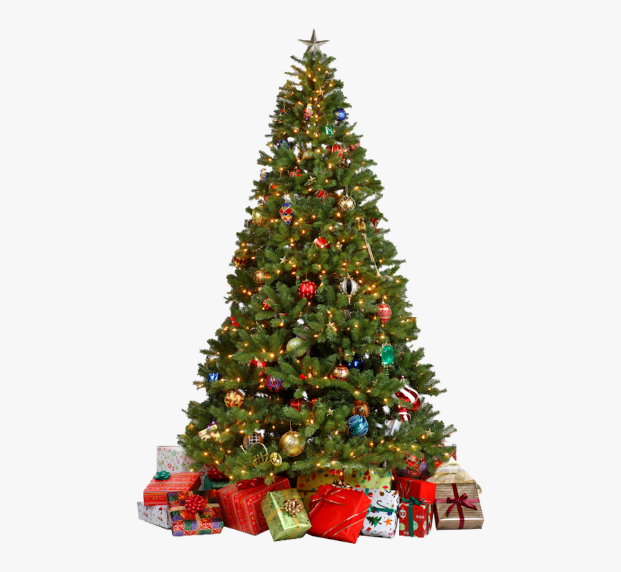 Christmas Tree Png, Transparent Clipart