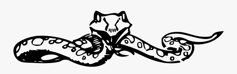 Snake Clipart 24639 Hd Wallpapers In Animals Imageci - Type Of Snake Word Search, Transparent Clipart