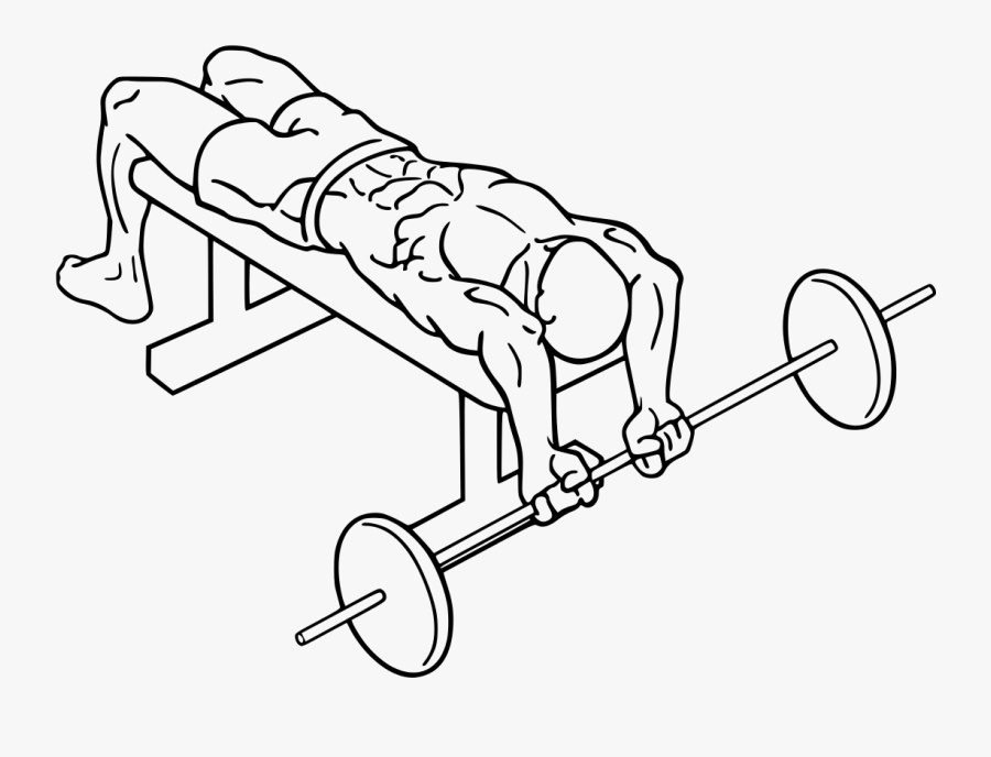 Bent Arm Pullover - Bench Press, Transparent Clipart
