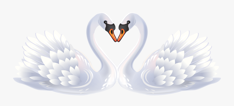 Clipart Birds Black Swan - Swan Clipart Transparent Background, Transparent Clipart