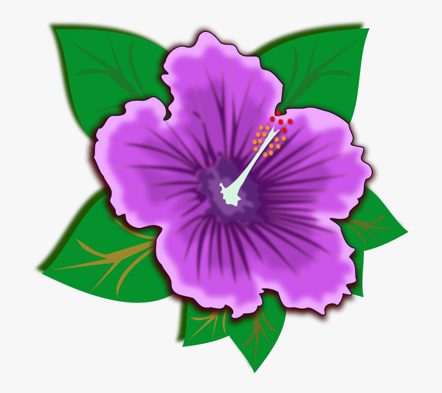 Free To Use & Public Domain Flowers Clip Art - Purple Hibiscus Png, Transparent Clipart