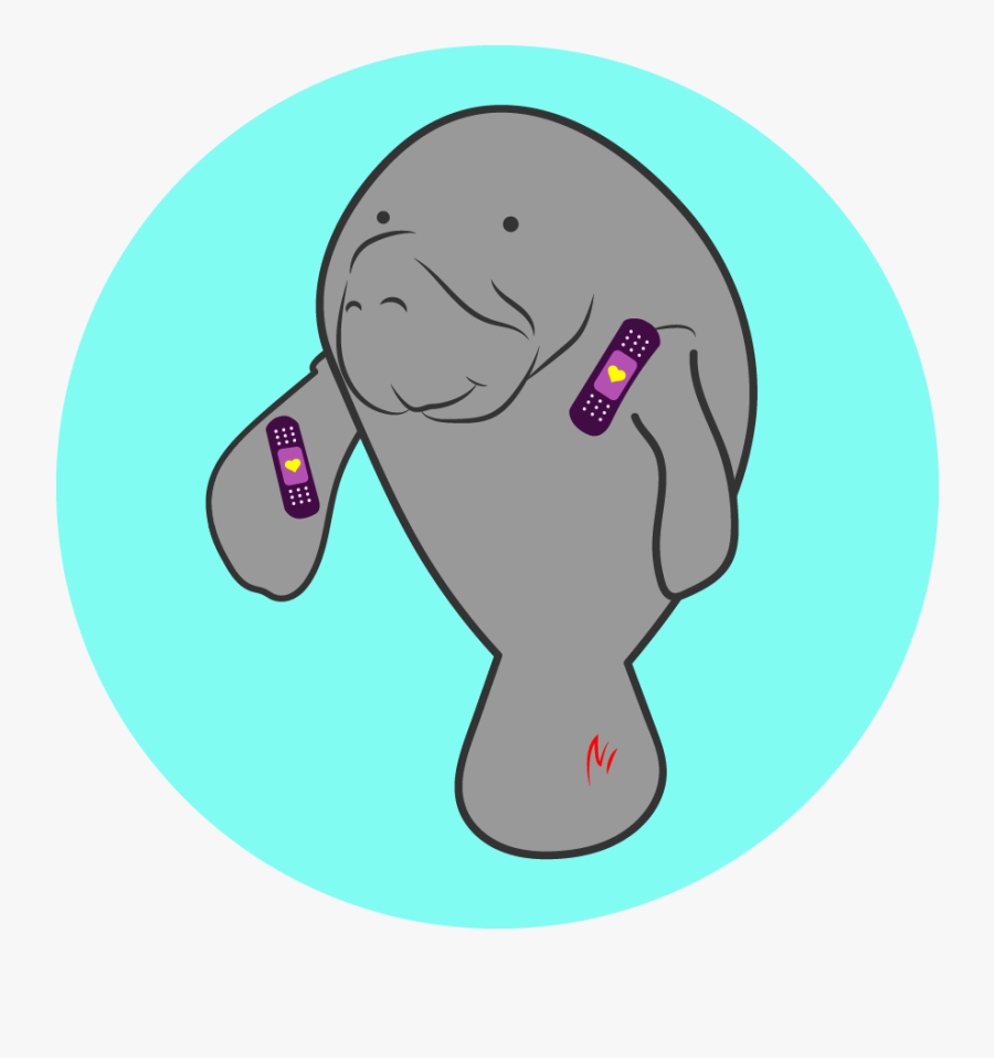 A Manatee With Scrapes Wears Bandages With Hearts On - Cartoon, Transparent Clipart