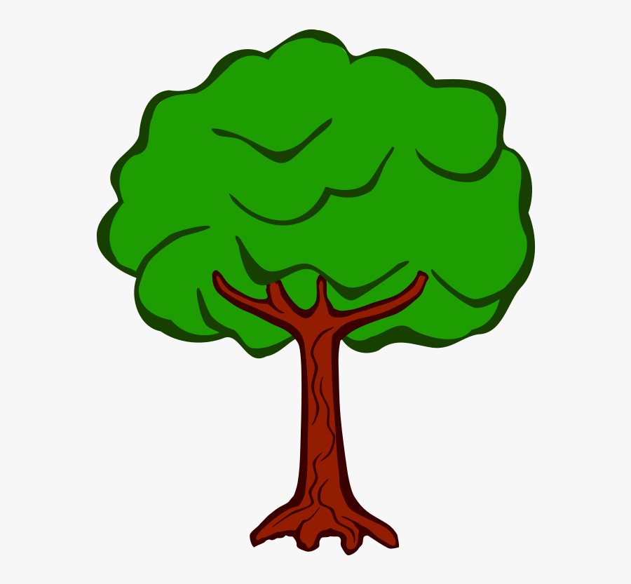 Tree - Coloured - Tree Drawing With Color, Transparent Clipart