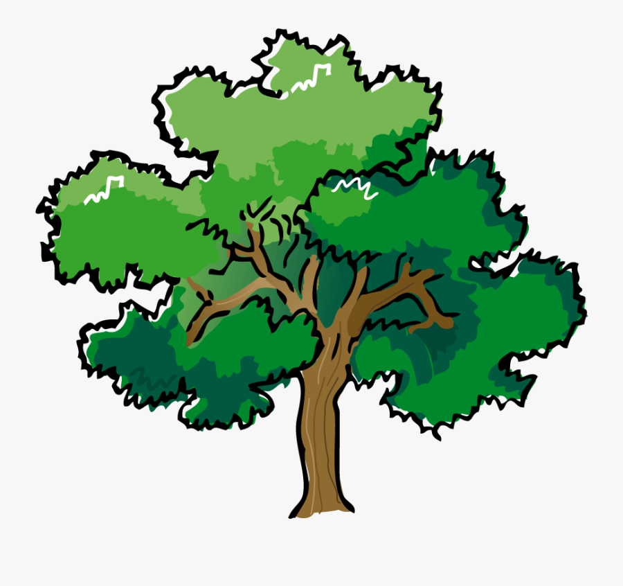 Trees Drawing With Color, Transparent Clipart