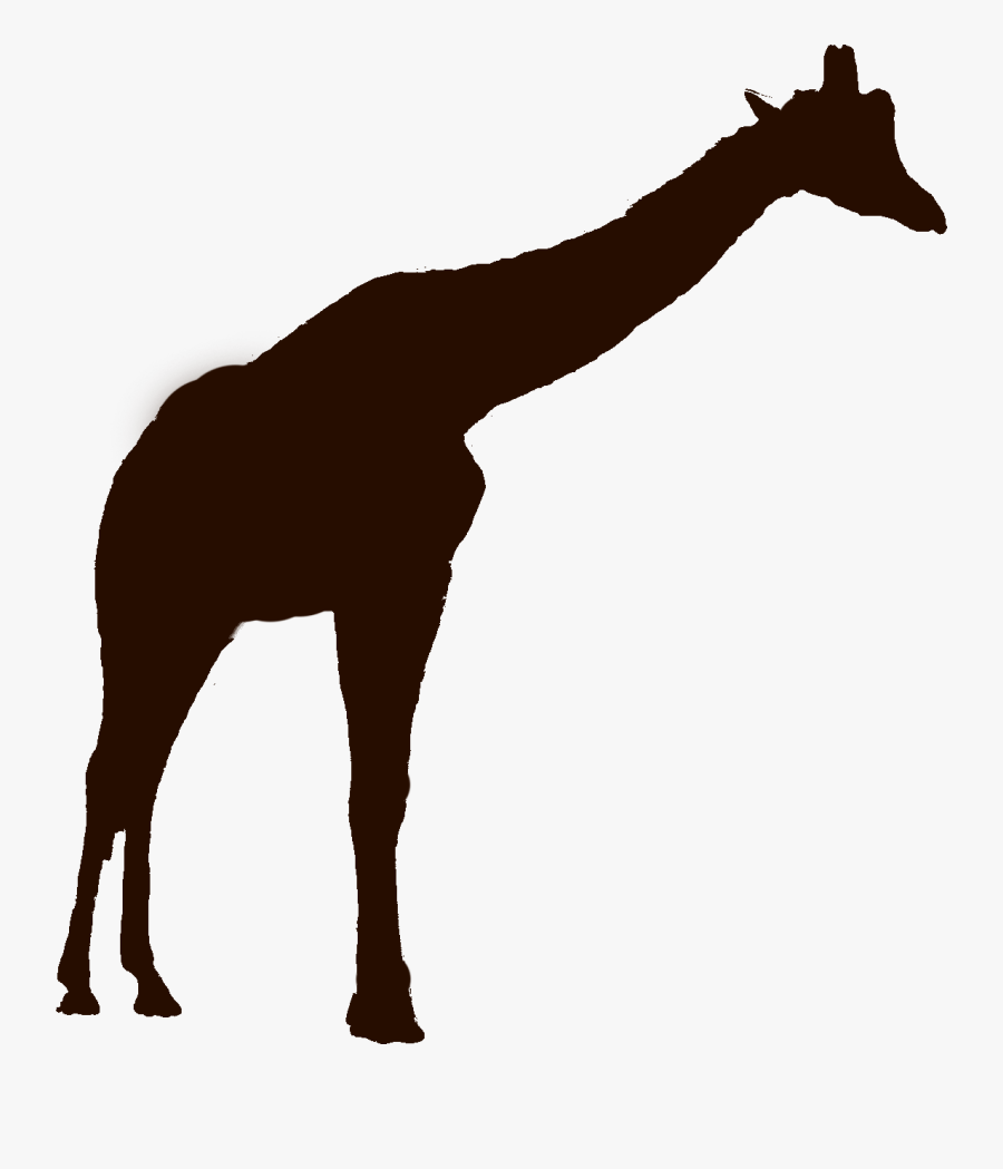Giraffe Silhouette Png - Giraffe, Transparent Clipart