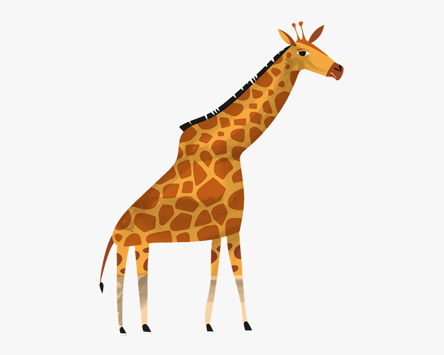 Giraffe, Transparent Clipart