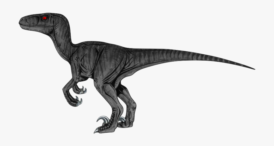 Transparent Velociraptor Clipart Black And White - Transparent Velociraptor Png, Transparent Clipart