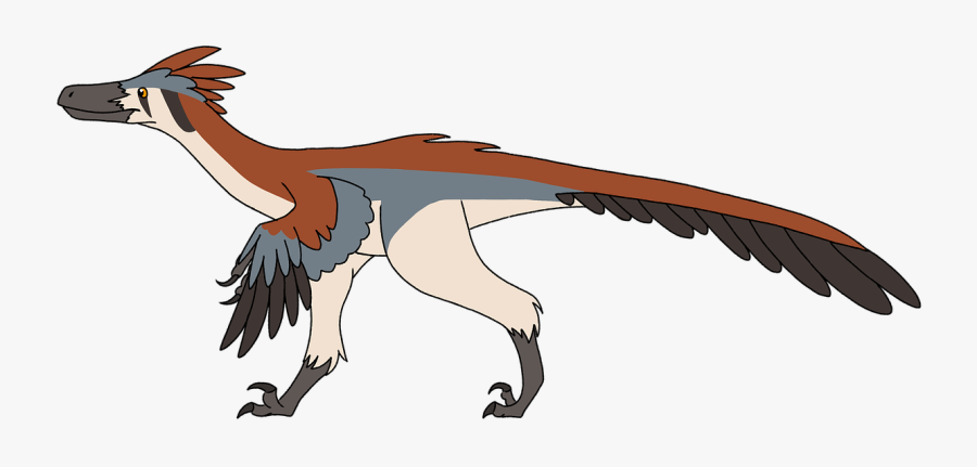 Velociraptor Dinosaur Feathers Free Photo - Dinosaur With Feathers Clipart, Transparent Clipart