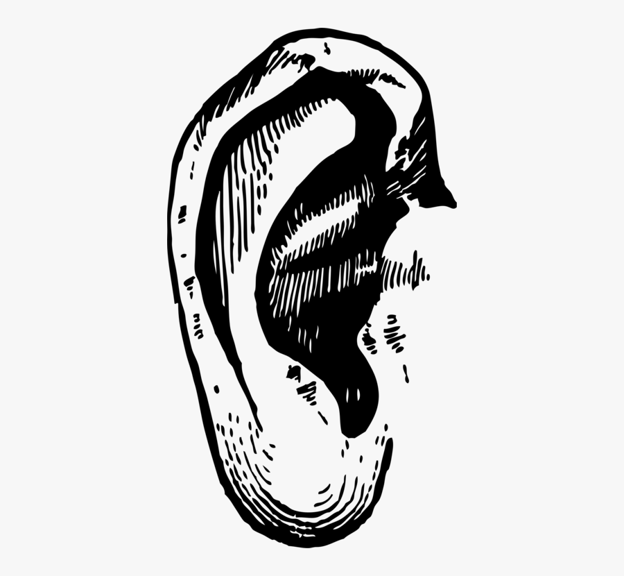 Head,monochrome Photography,jaw - World Listening Day 2018, Transparent Clipart