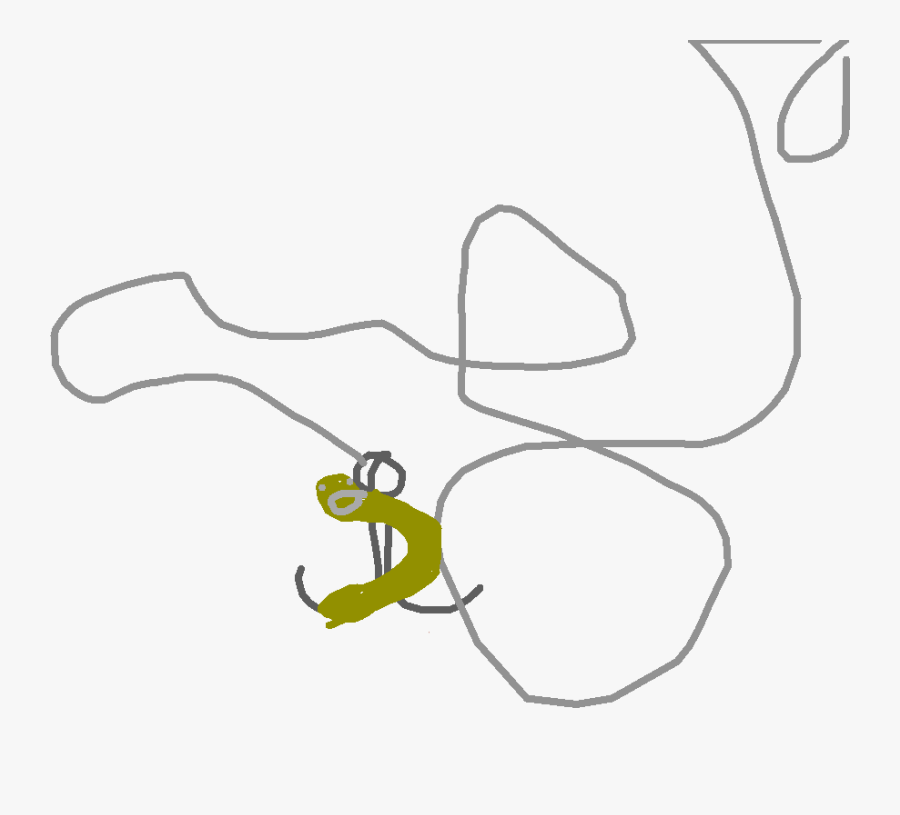 Line Art, Transparent Clipart