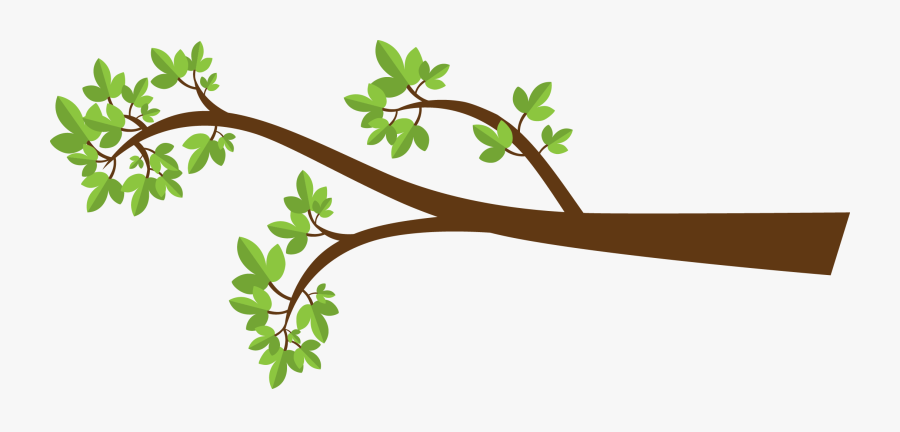 Images Of Tree Branches Matatarantula - Tree Branch Clipart Png, Transparent Clipart