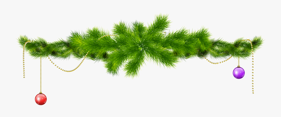 Pine Branch Clipart - Christmas Tree Branch Png, Transparent Clipart