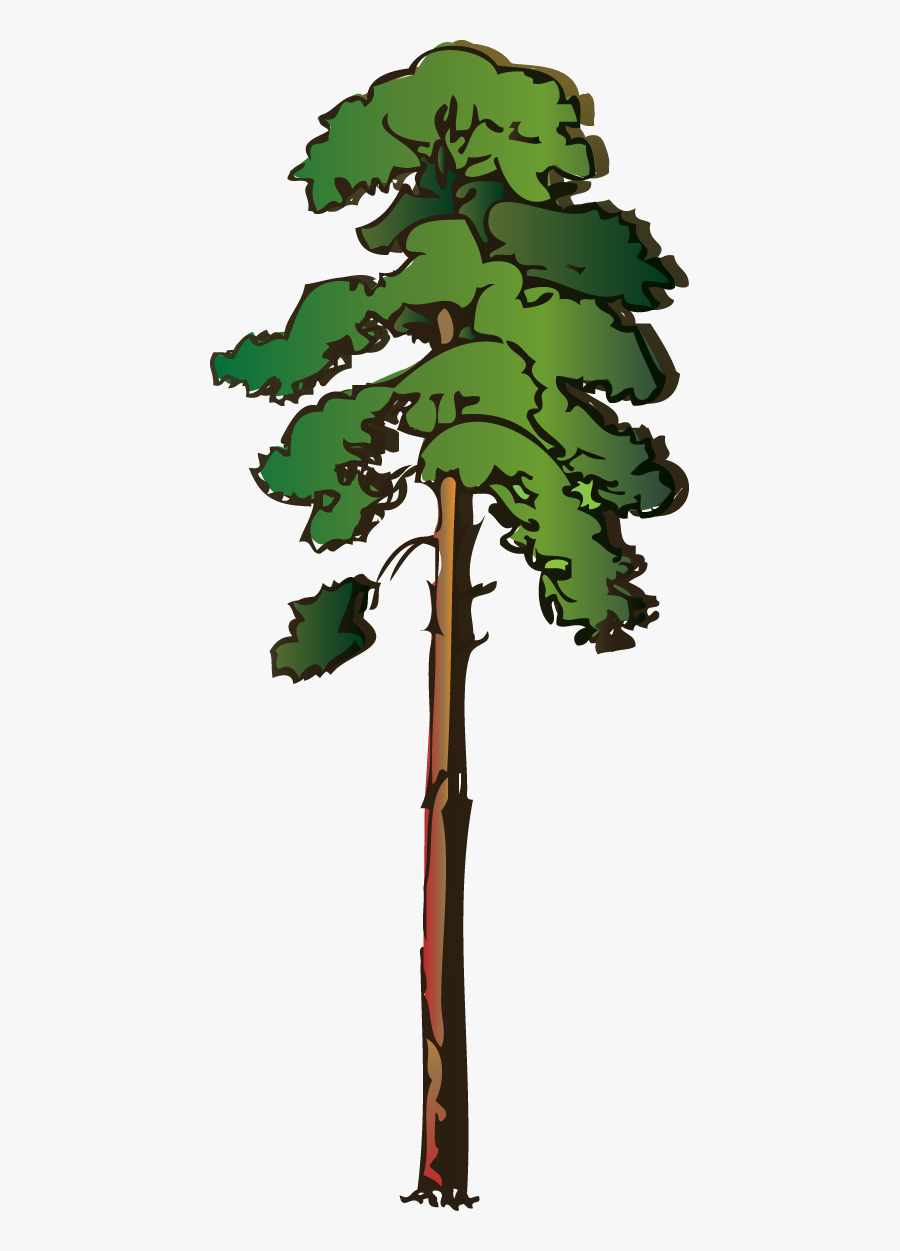 Red Wood Tree Clipart, Transparent Clipart