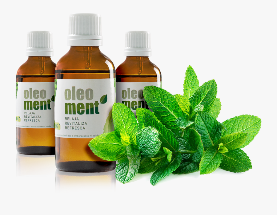 Prueba Oleoment, Transparent Clipart