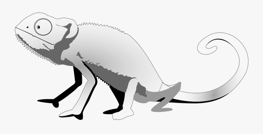 Iguana Black And White, Transparent Clipart