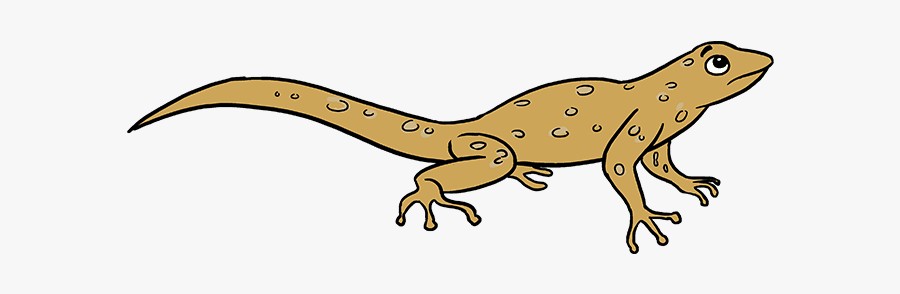 How To Draw Lizard - Frog, Transparent Clipart