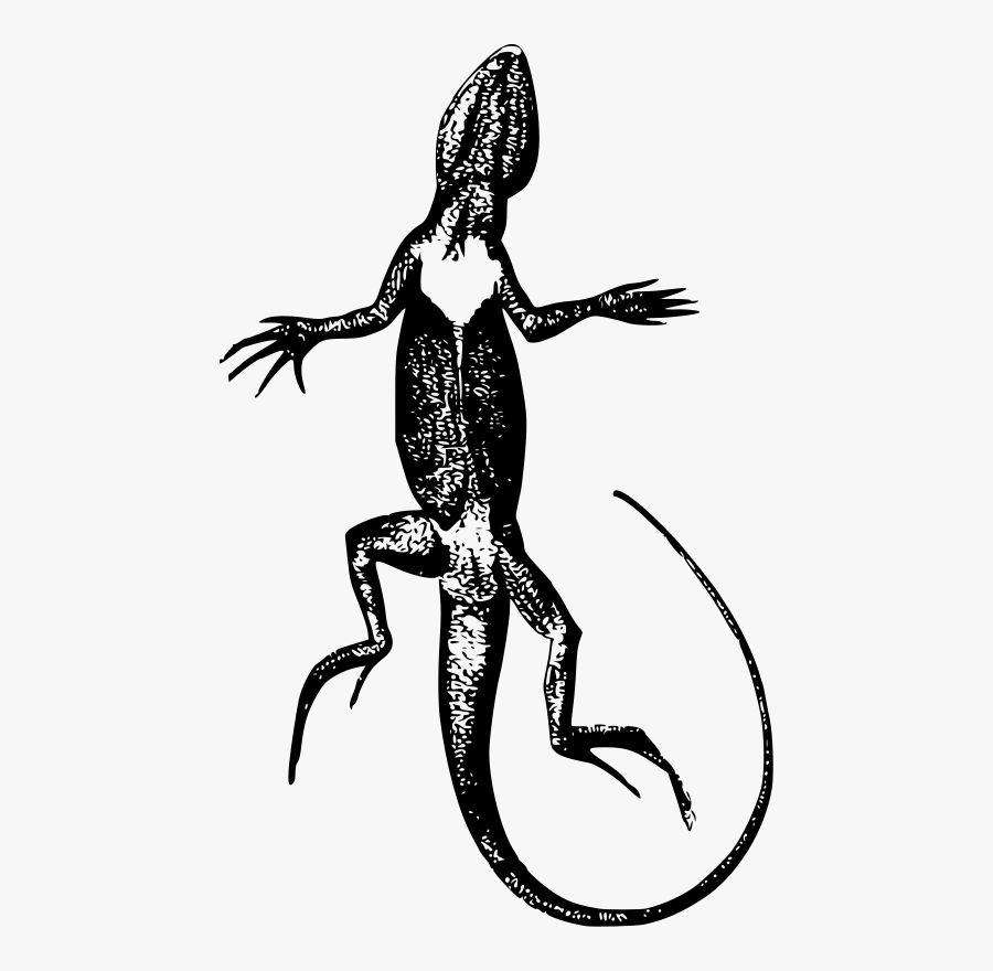 Lizard - Clip Art, Transparent Clipart
