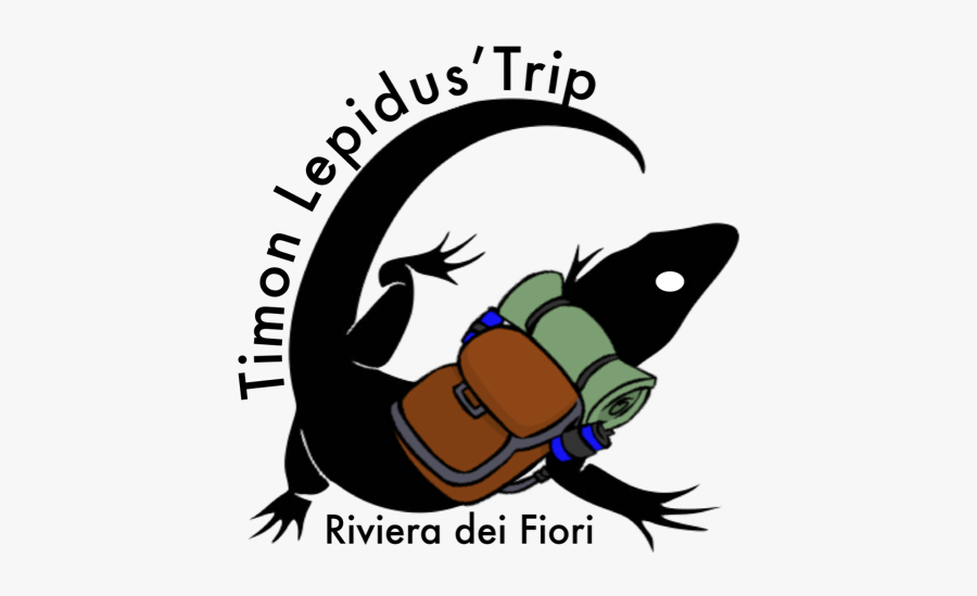 Hike Clipart Rural Tourism - Insect, Transparent Clipart