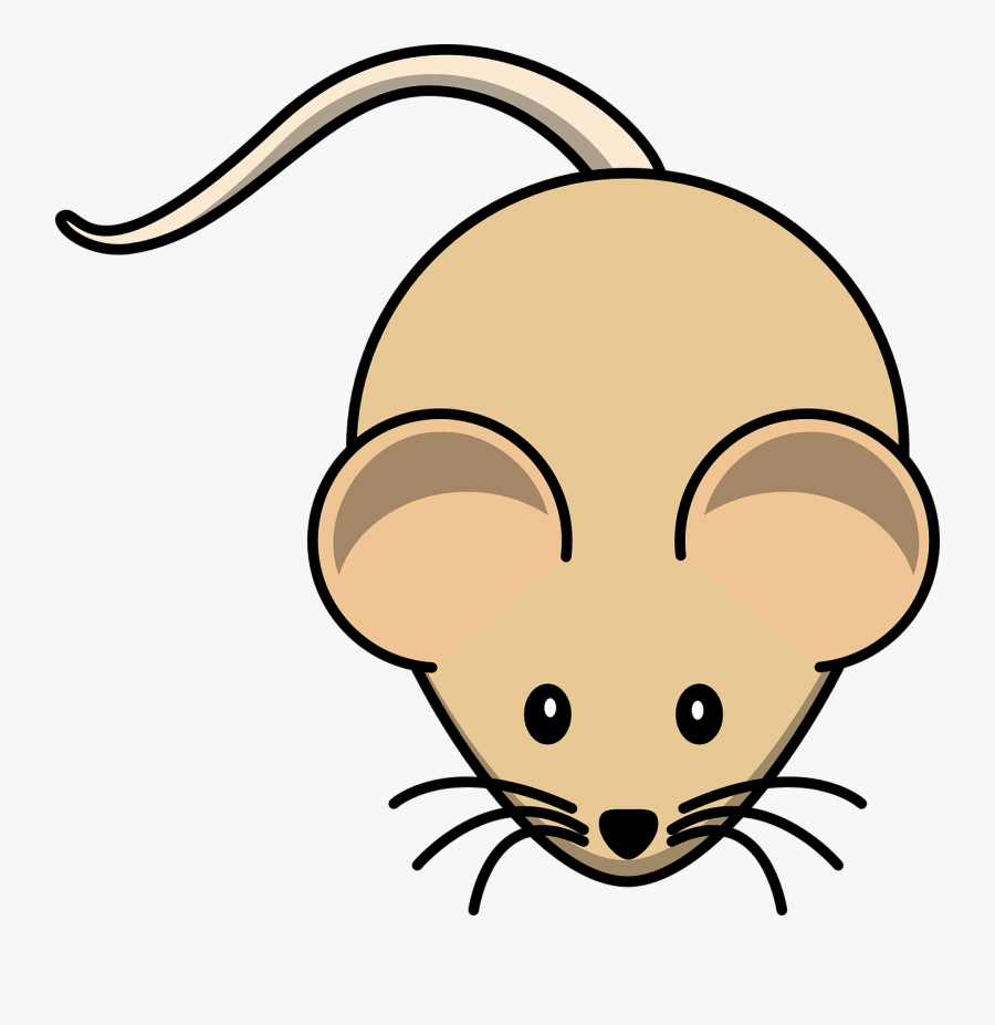 Light Brown Mouse Cartoon, Transparent Clipart