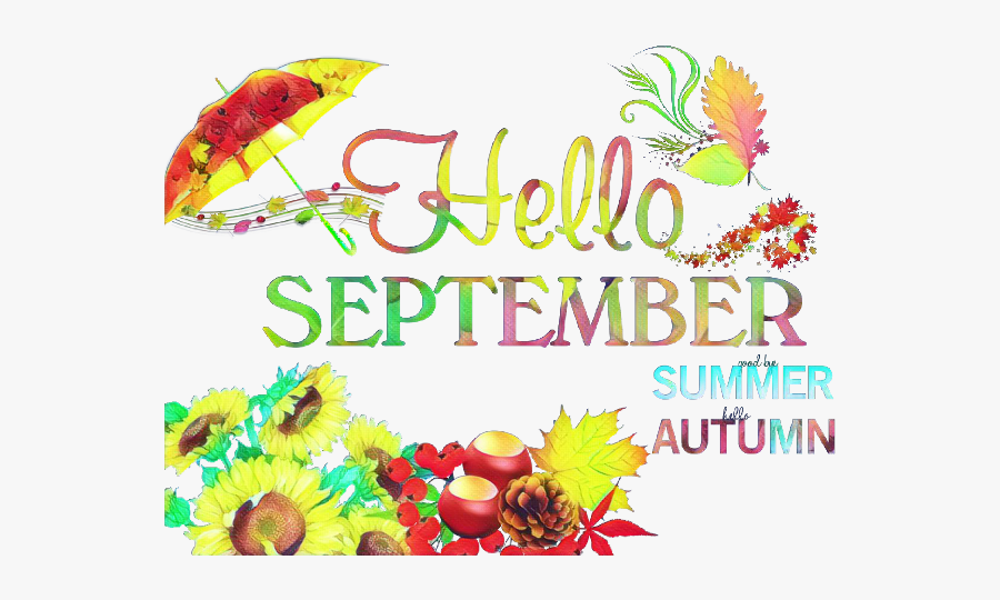 Thanksgiving, Transparent Clipart